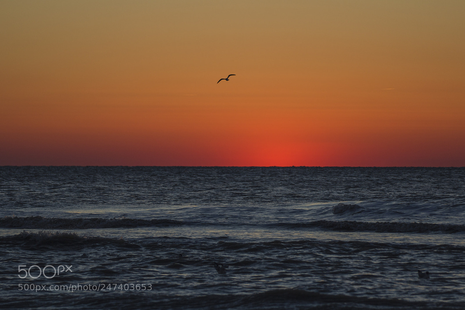Canon EOS 600D (Rebel EOS T3i / EOS Kiss X5) sample photo. Sunset photography