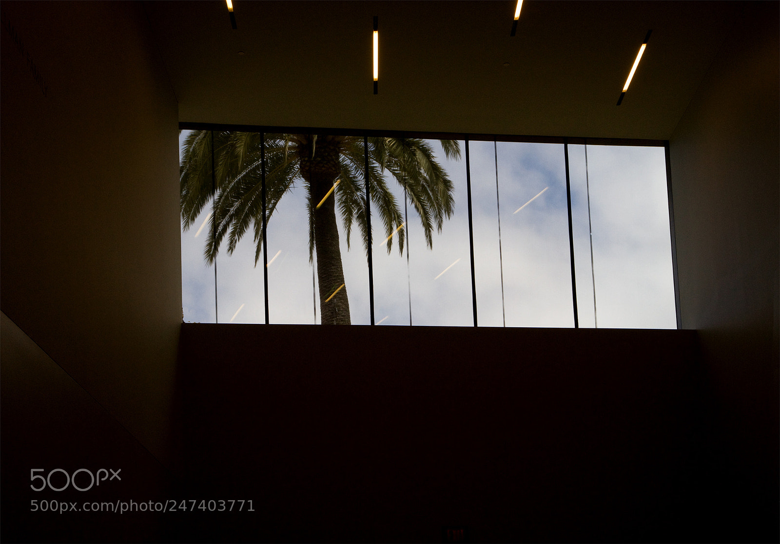 Canon EOS 7D sample photo. De young window photography