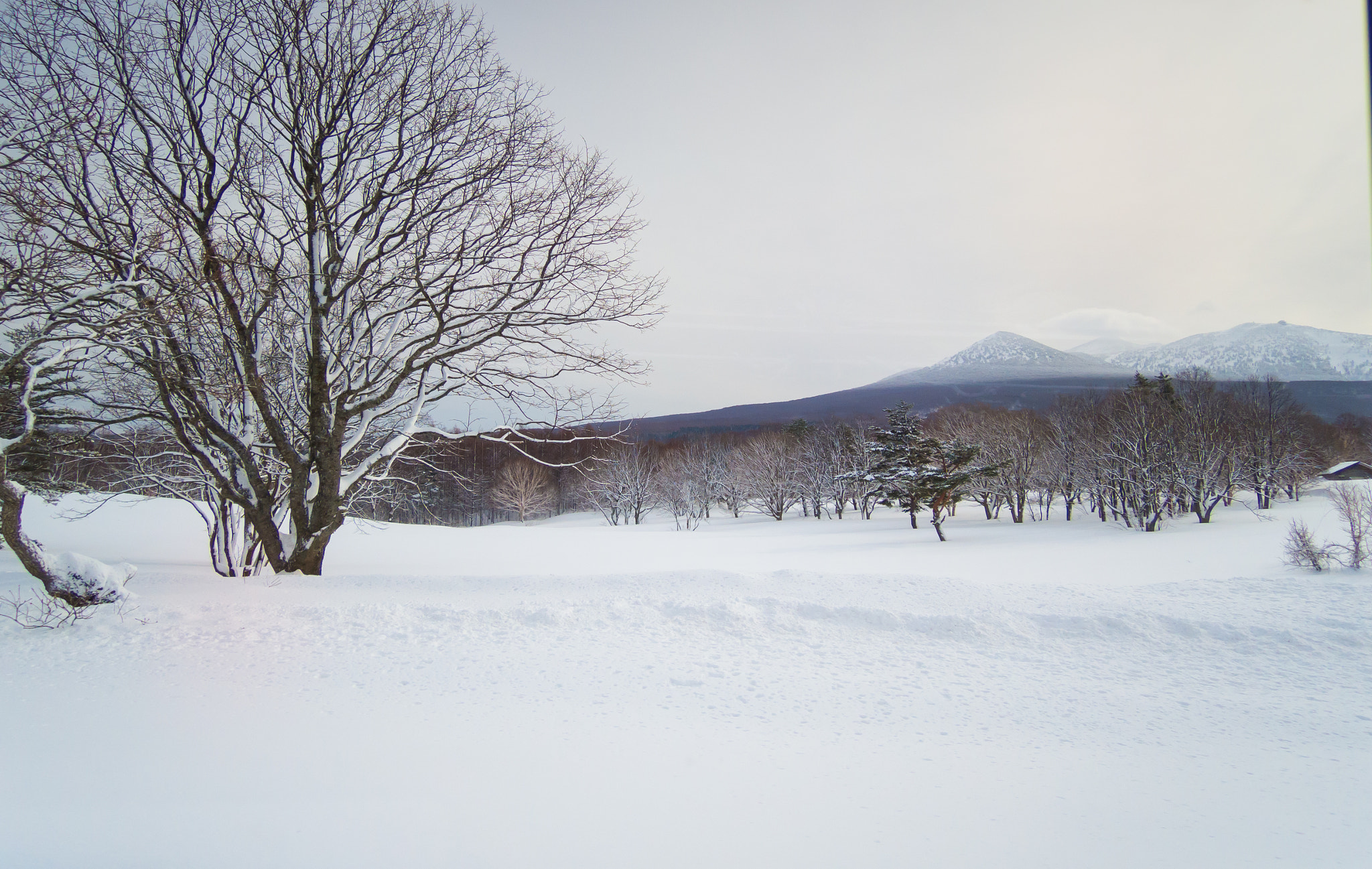 Nikon Coolpix P330 sample photo. Snow on the hill photography