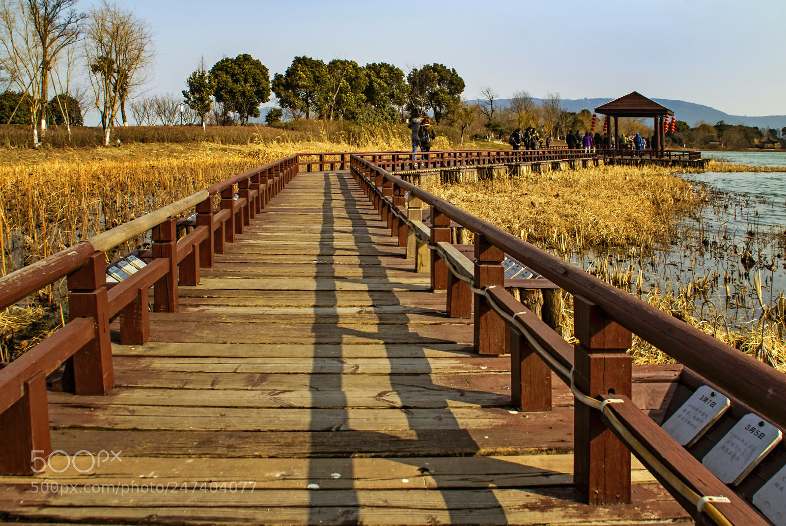 Canon EOS 600D (Rebel EOS T3i / EOS Kiss X5) sample photo. 冬之长桥 photography