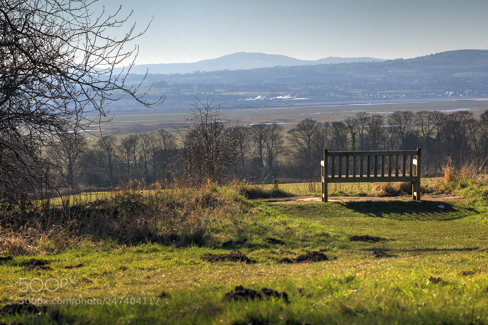 Canon EOS 650D (EOS Rebel T4i / EOS Kiss X6i) sample photo. A bench with a photography