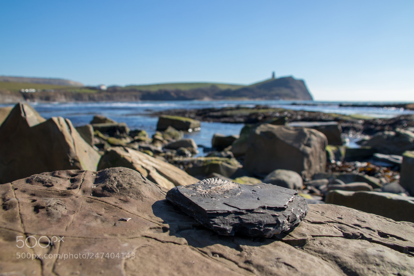 Canon EOS 77D (EOS 9000D / EOS 770D) sample photo. Fossil on jurassic coast photography
