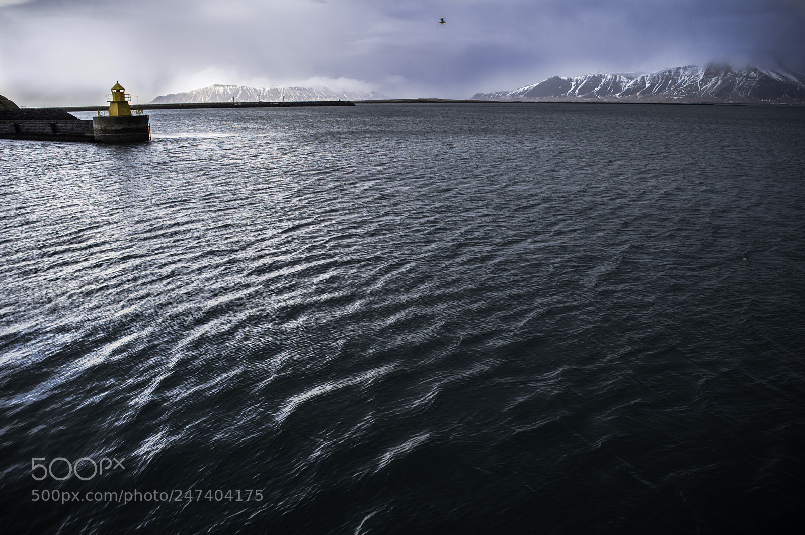 Nikon D3200 sample photo. Reykjavik harbor photography