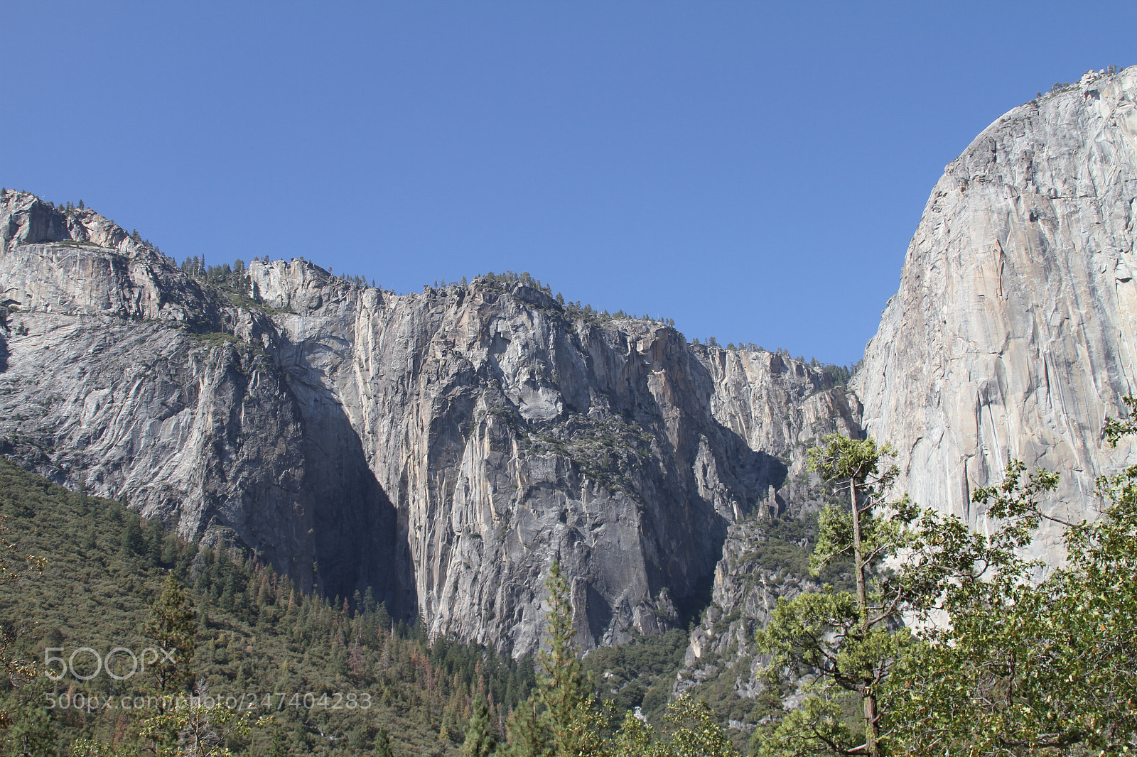 Canon EOS 7D sample photo. Yosemite ashley & henrique photography