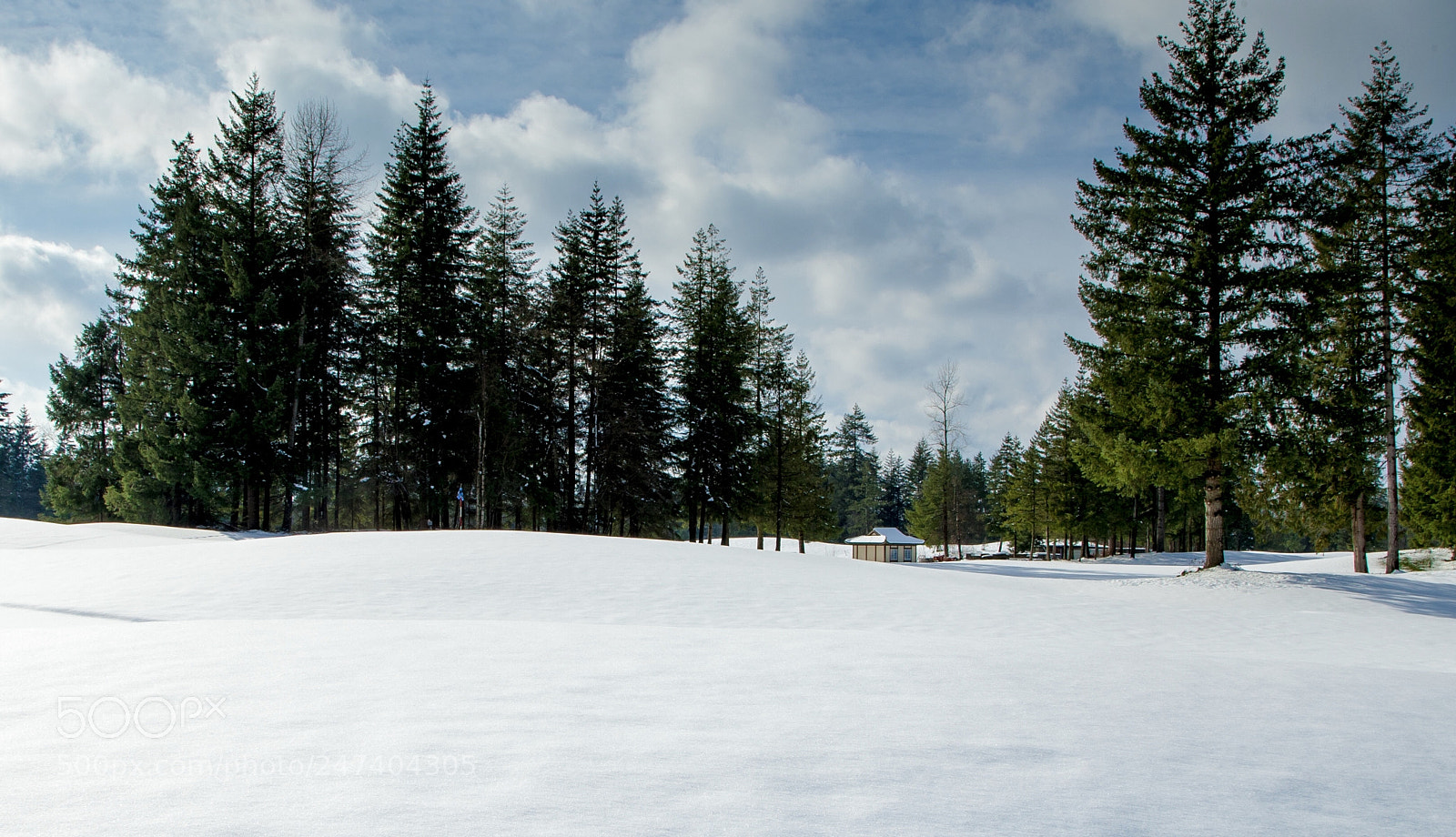 Canon EOS-1D Mark III sample photo. Untitled photography