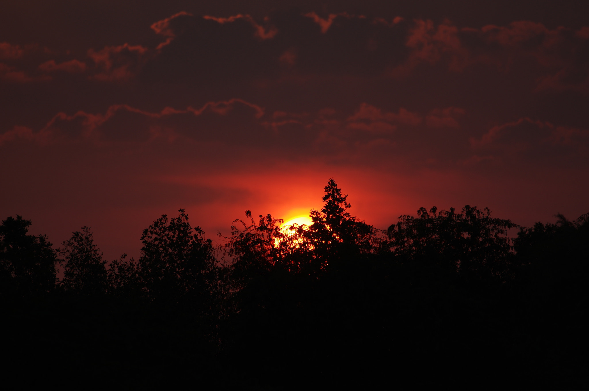 Pentax K-3 + smc PENTAX-F* 300mm F4.5 ED[IF] sample photo. Sunset in kuwait desert .. 4 .. photography