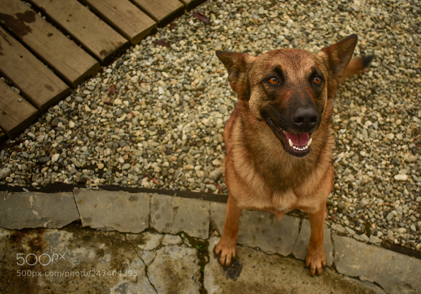 Nikon D3400 sample photo. Sv photography