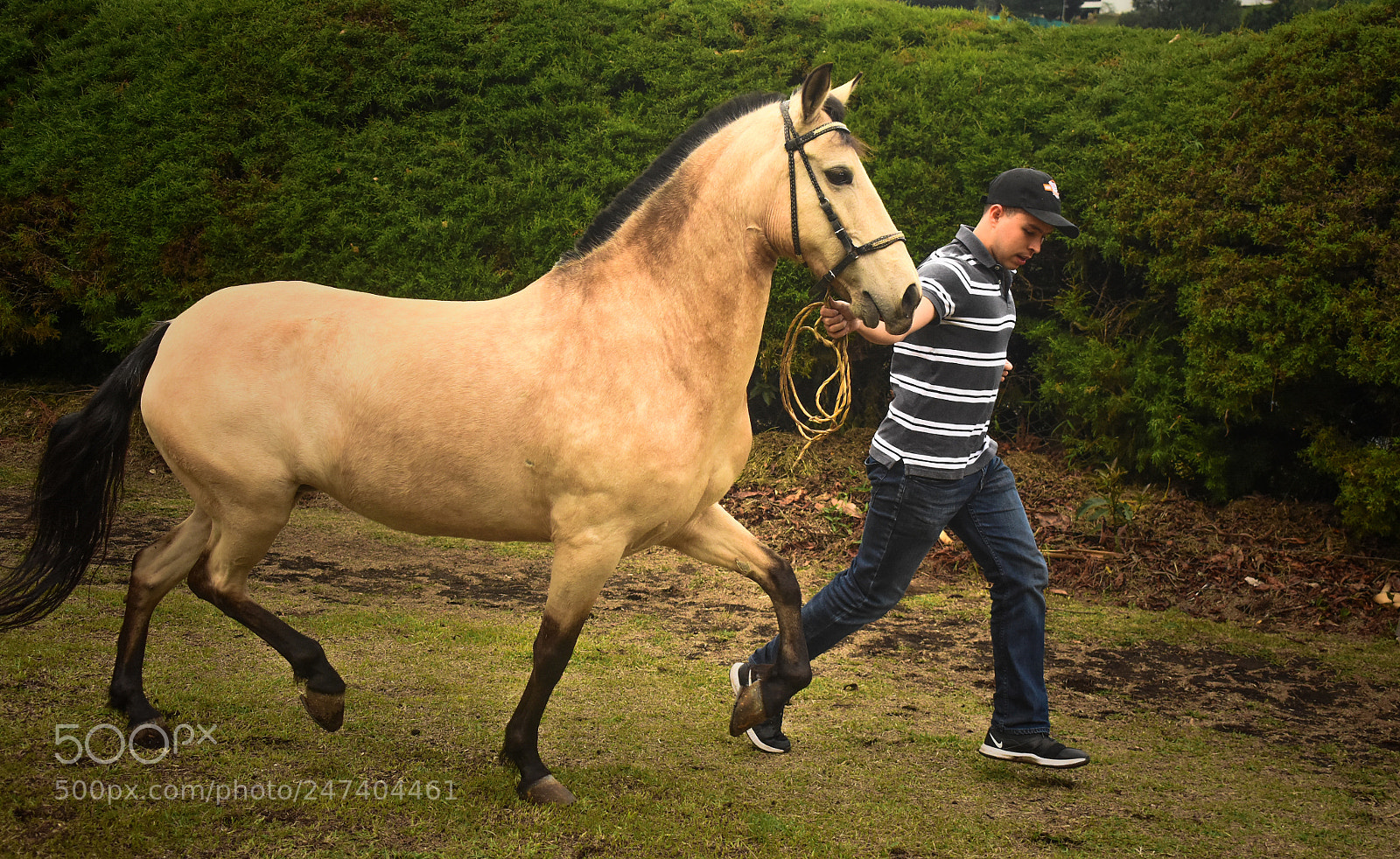 Nikon D3400 sample photo. Sv9_0667-3.jpg photography