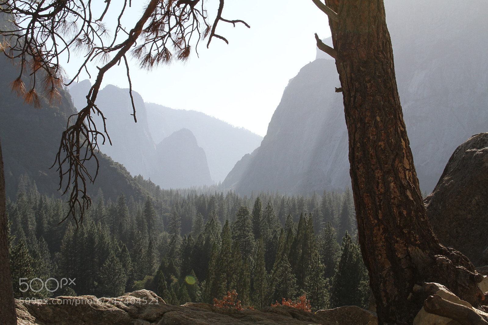 Canon EOS 7D sample photo. Yosemite ashley & henrique photography