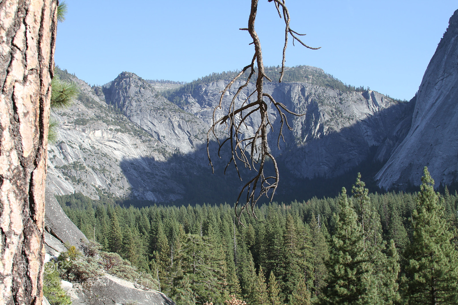 Canon EOS 7D sample photo. Yosemite ashley & henrique photography