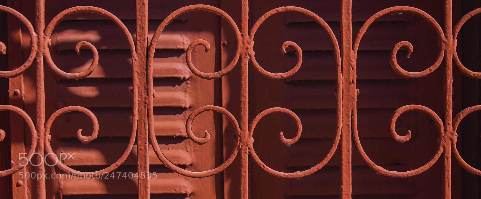 Nikon D610 sample photo. Rojo photography