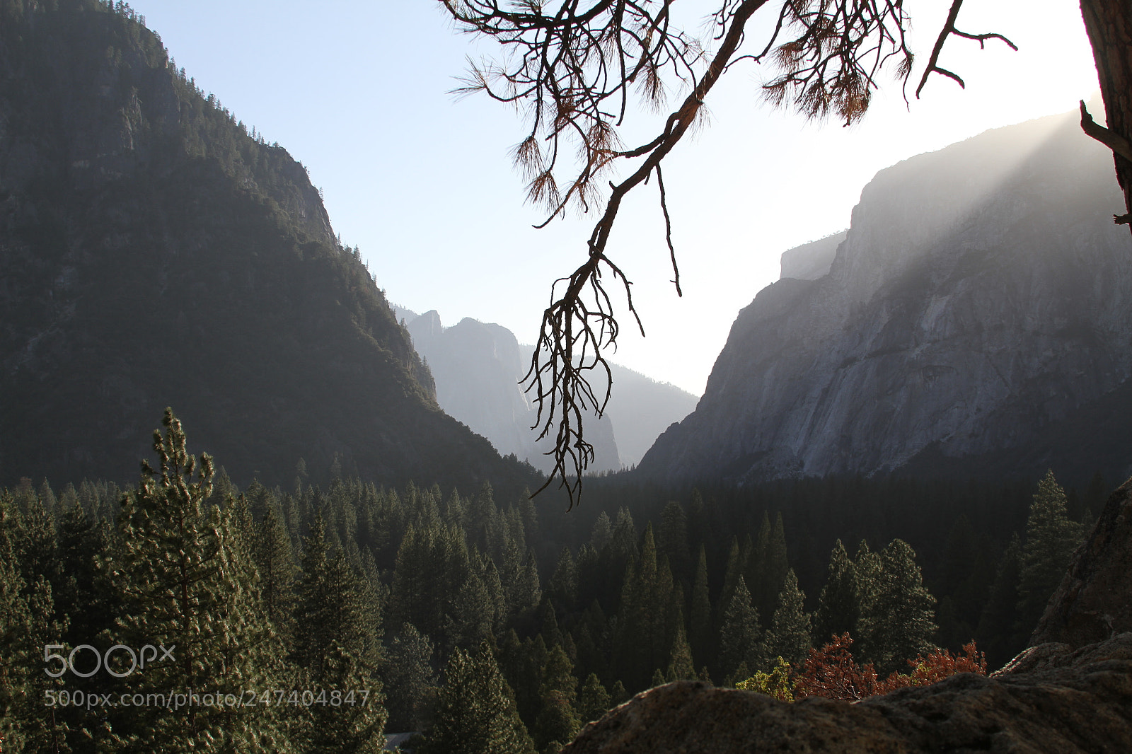 Canon EOS 7D sample photo. Yosemite ashley & henrique photography