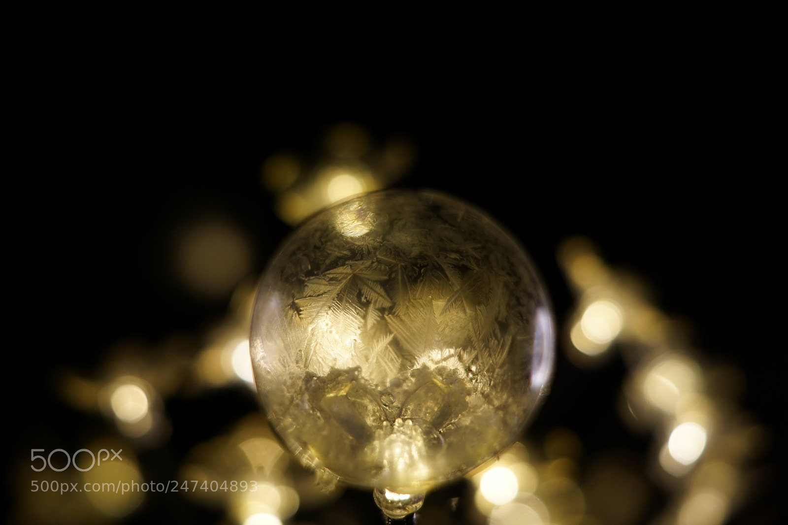 Sony ILCA-77M2 sample photo. Frozen bubble in the photography