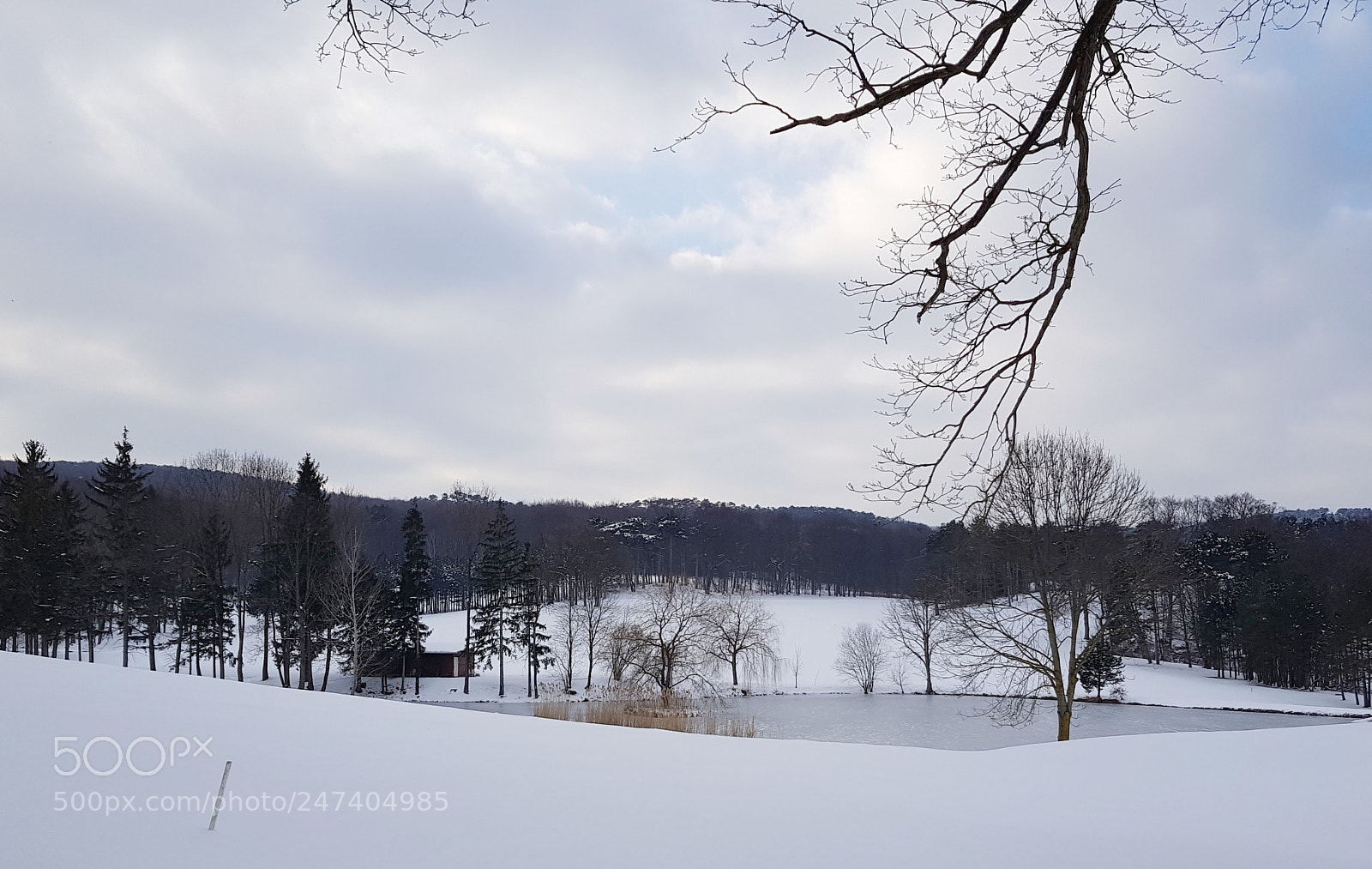 Samsung Galaxy S8 sample photo. Austria photography