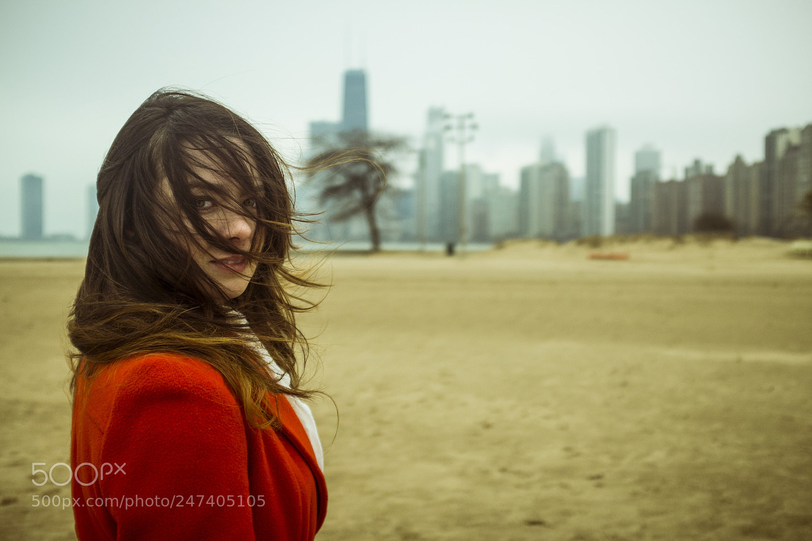 Fujifilm X100T sample photo. Windswept photography