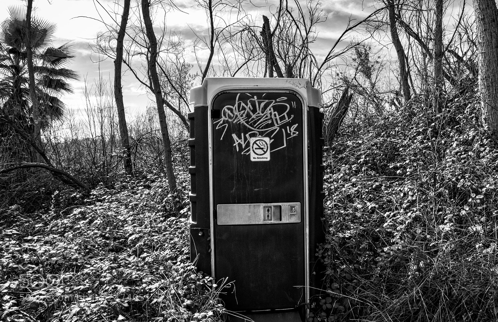 Pentax K-3 II sample photo. Knights ferry photography