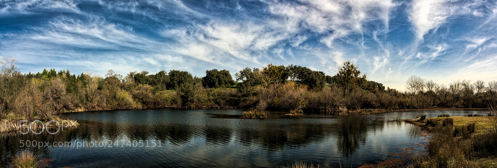 Pentax K-3 II sample photo. Knights ferry photography
