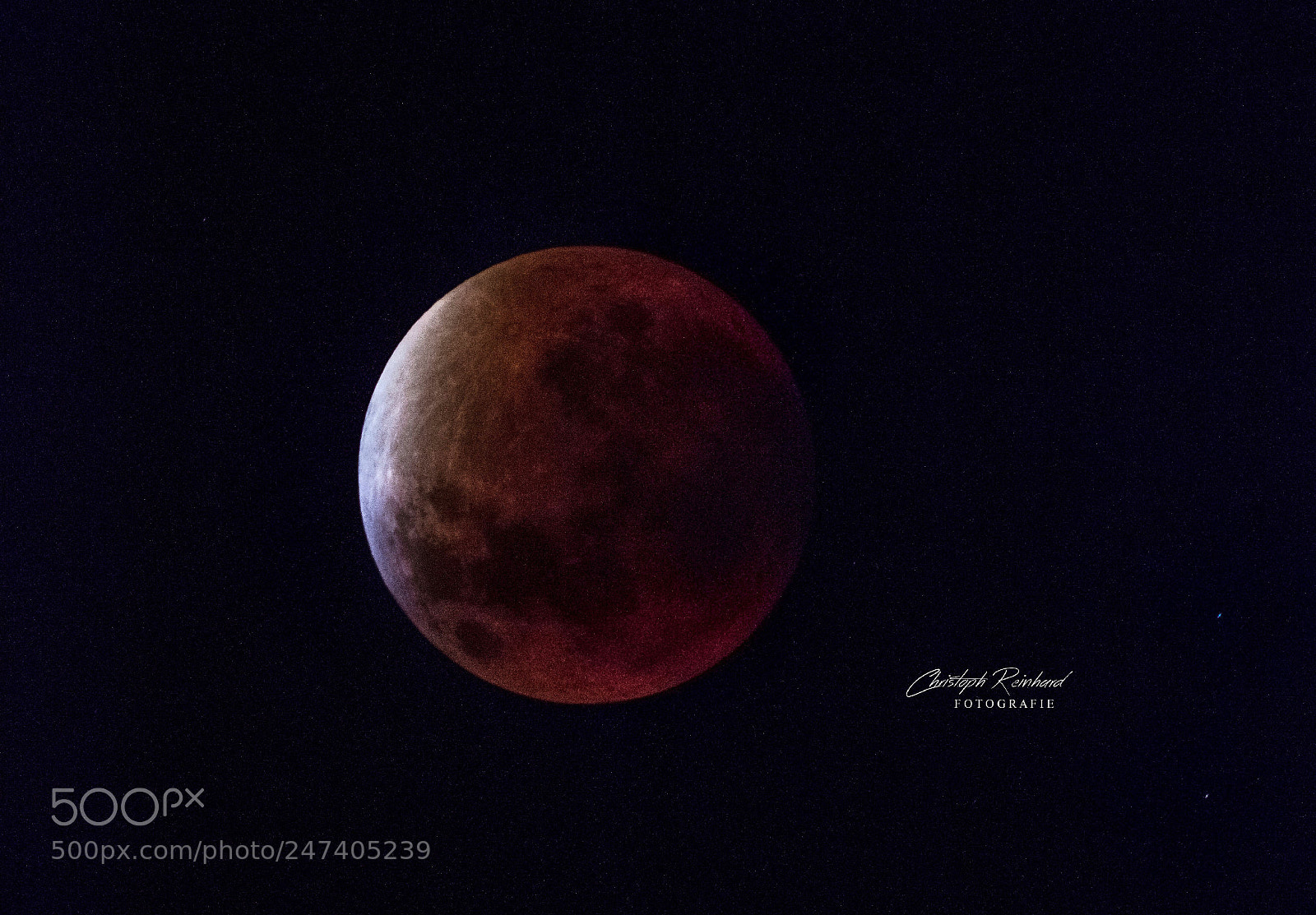 Canon EOS 5DS sample photo. Bloodmoon photography