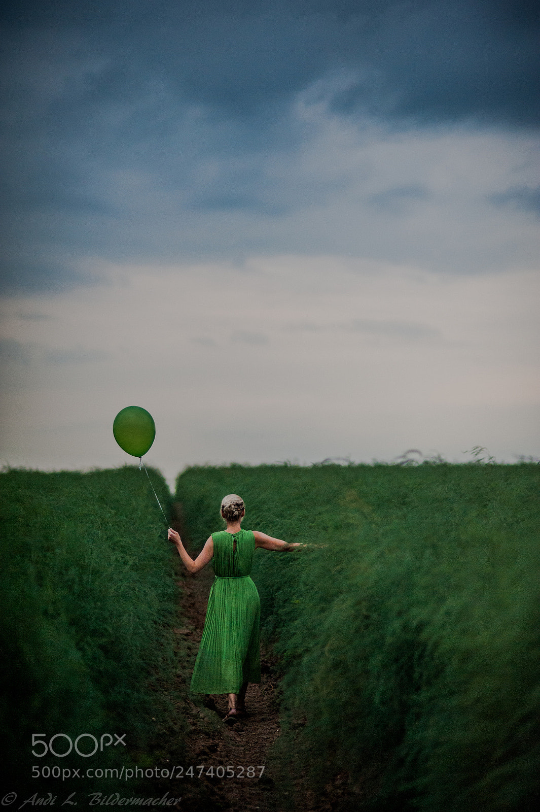 Nikon D700 sample photo. ~green~ photography