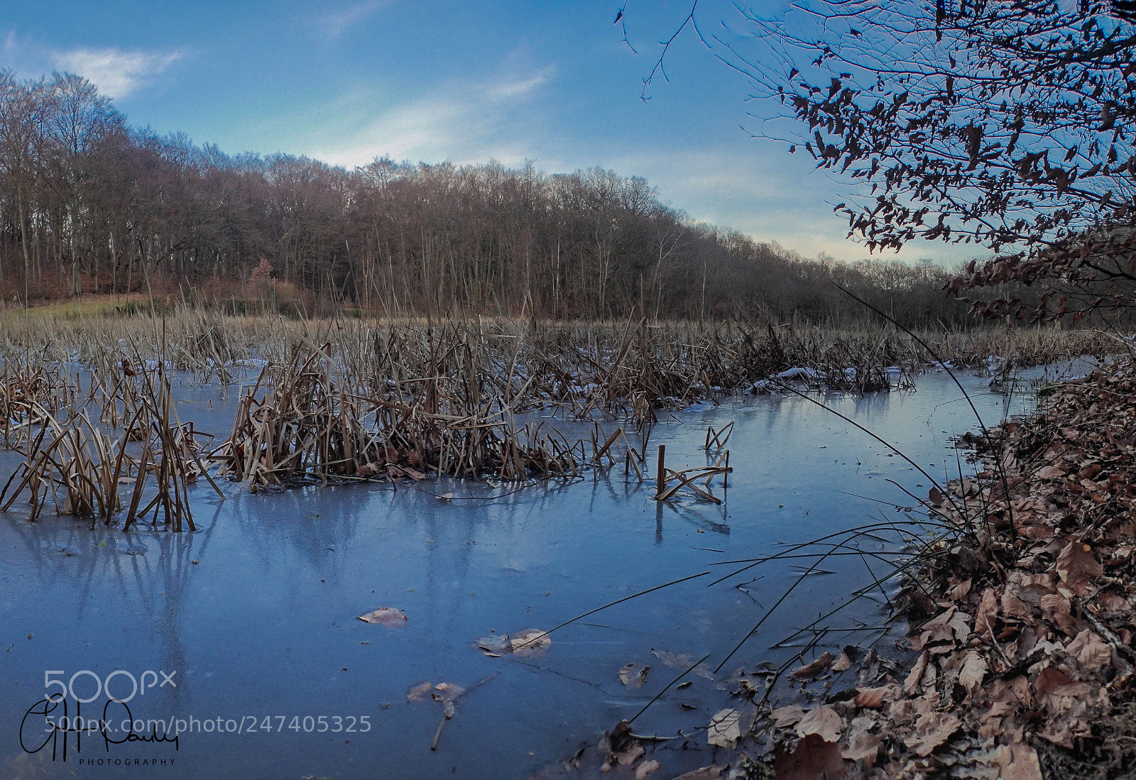 Olympus TG-4 sample photo. Roetgen ponds in deep photography