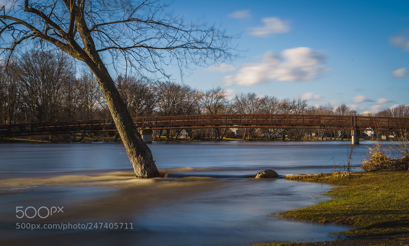 Sony a7 sample photo. Oswego il photography