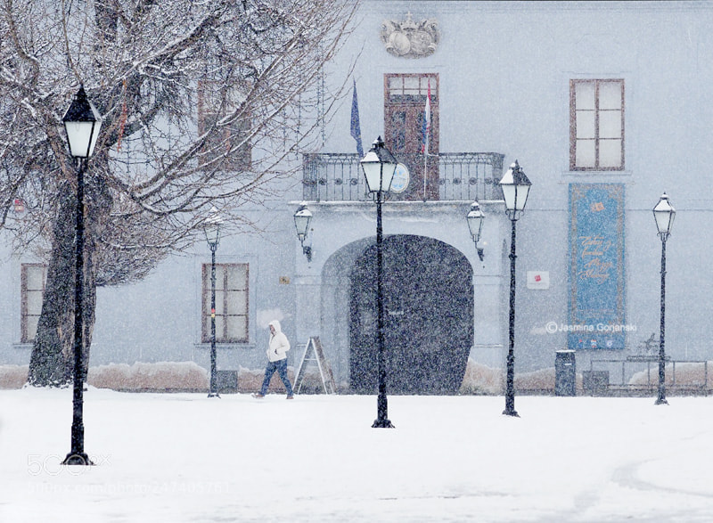 Olympus OM-D E-M1 Mark II sample photo. Blue winter photography