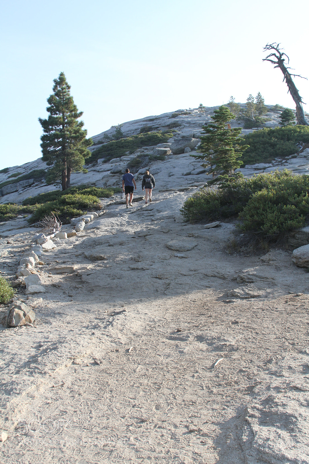 Canon EOS 7D sample photo. Yosemite ashley & henrique photography
