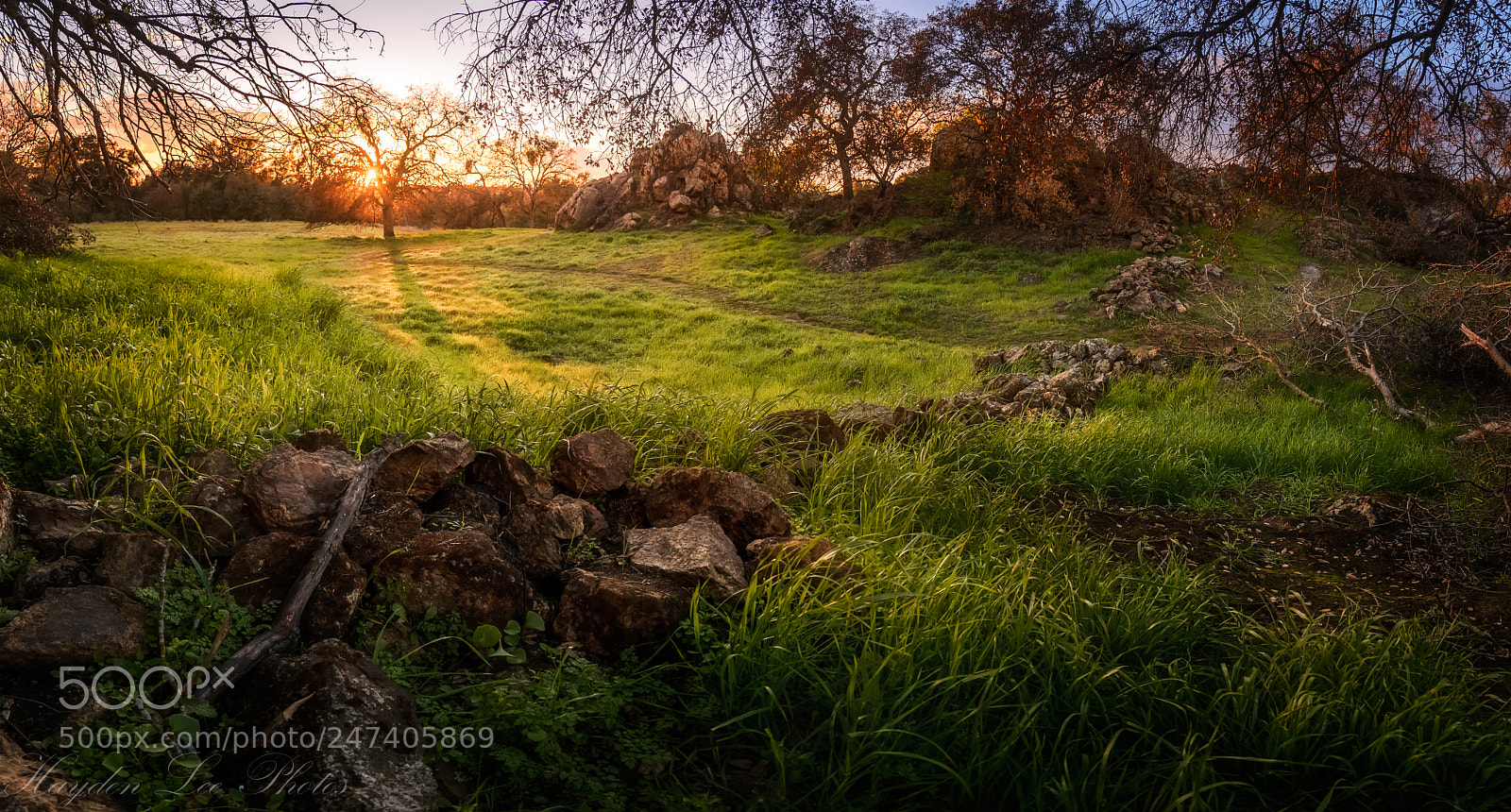 Nikon D610 sample photo. Foothills at dusk photography