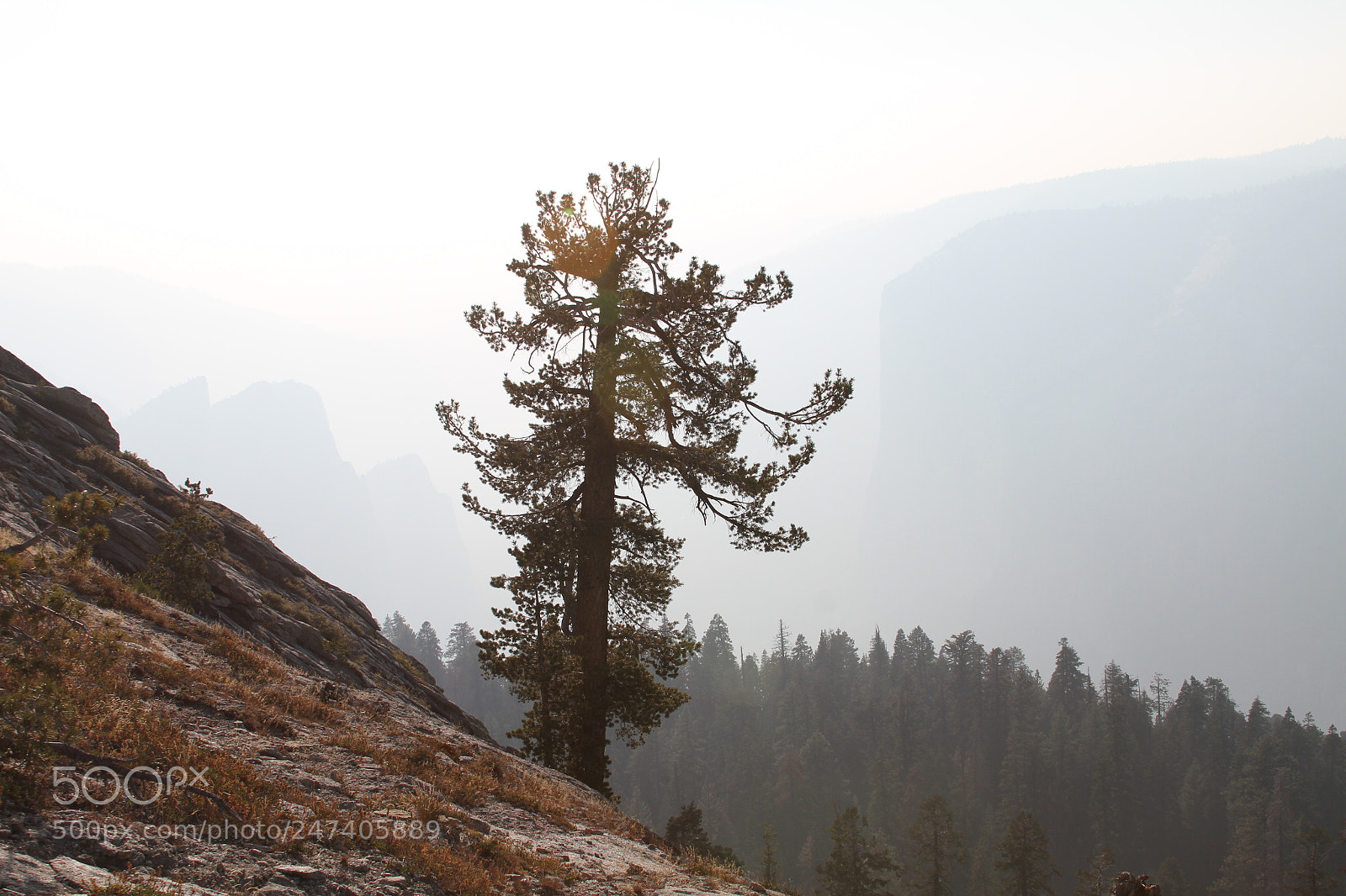 Canon EOS 7D sample photo. Yosemite ashley & henrique photography