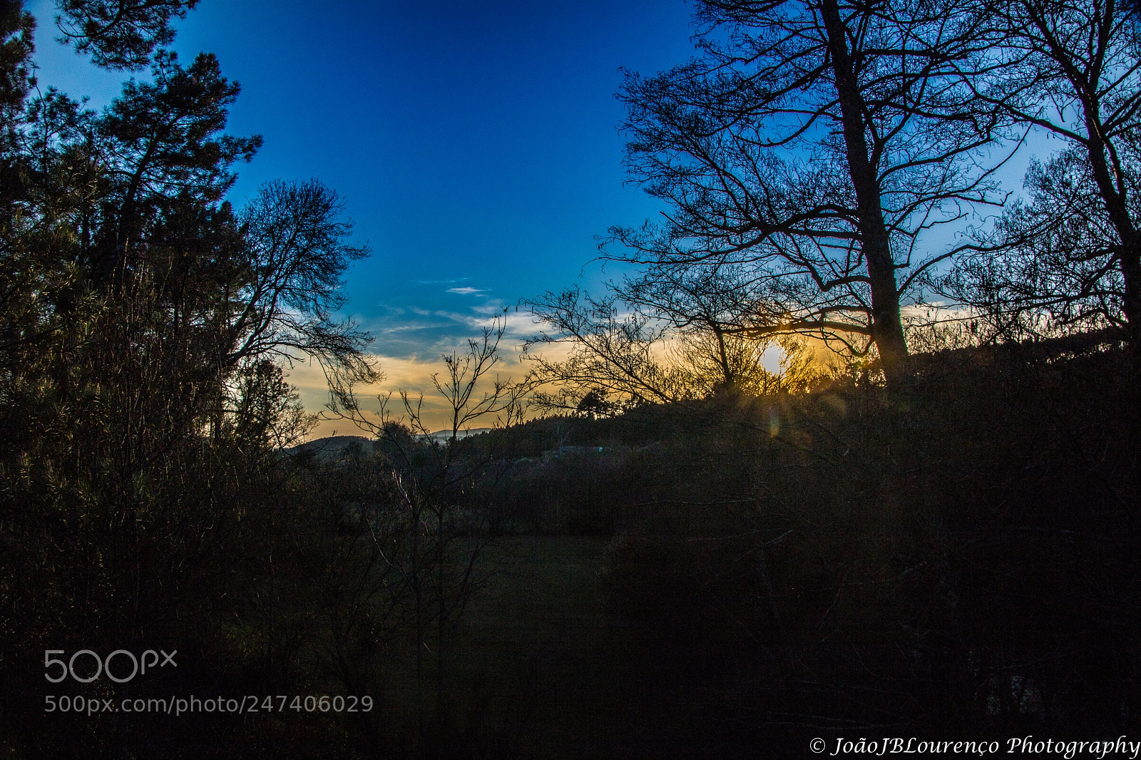 Canon EOS 750D (EOS Rebel T6i / EOS Kiss X8i) sample photo. Sunset behind trees photography