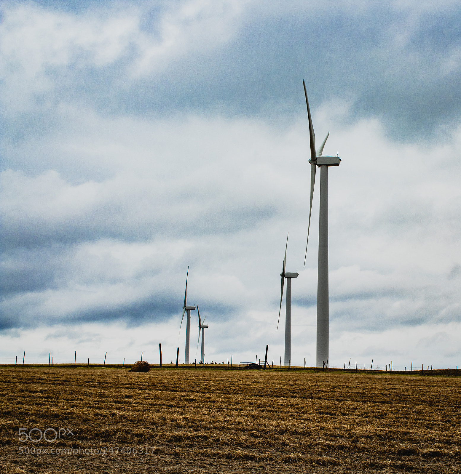 Canon EOS 1300D (EOS Rebel T6 / EOS Kiss X80) sample photo. Field of windmills photography