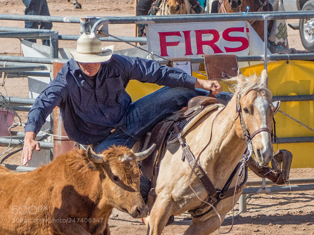 Olympus OM-D E-M5 II sample photo. Lost dutchman days rodeo photography