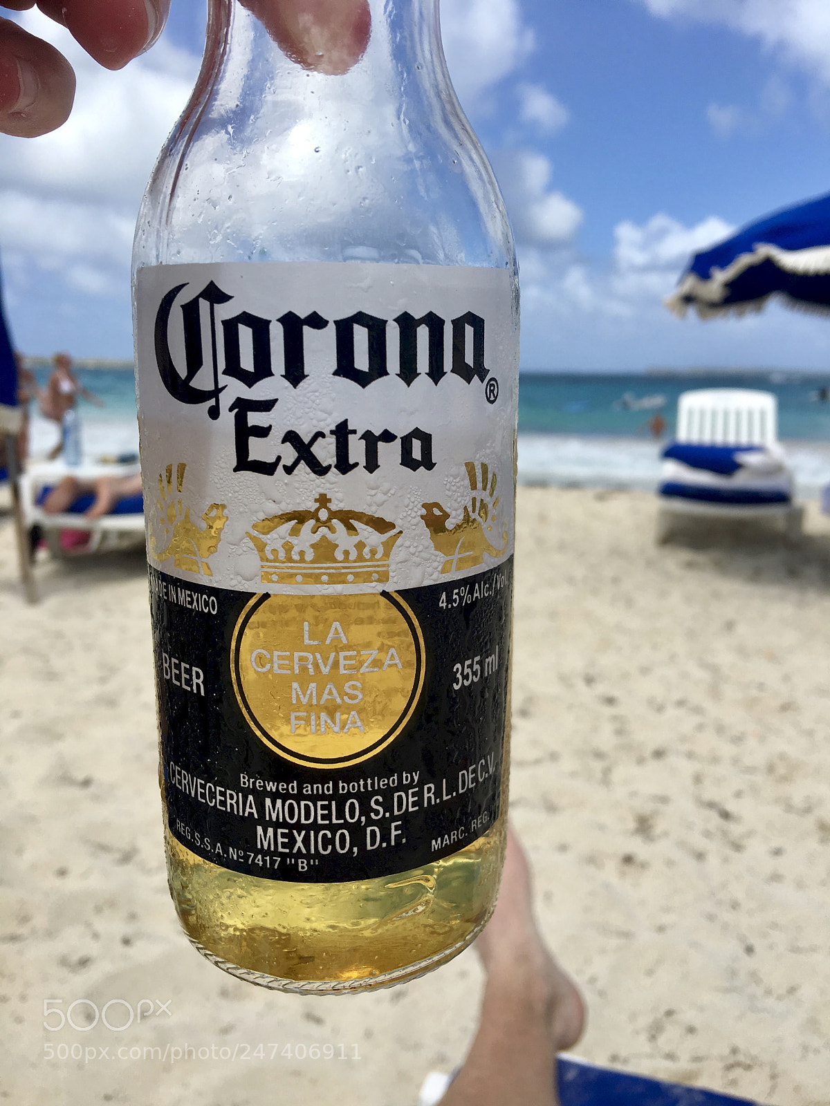 Apple iPhone 6s Plus sample photo. Cheers! photography