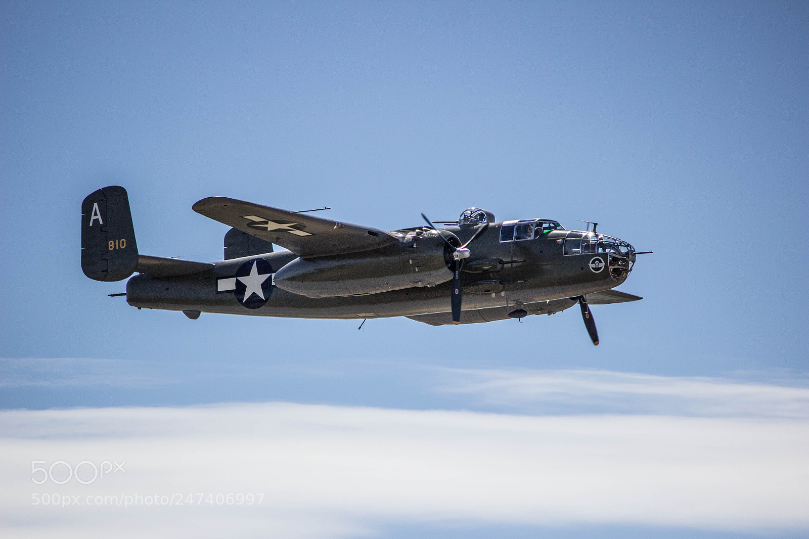 Canon EOS 600D (Rebel EOS T3i / EOS Kiss X5) sample photo. Raf mosquito! photography