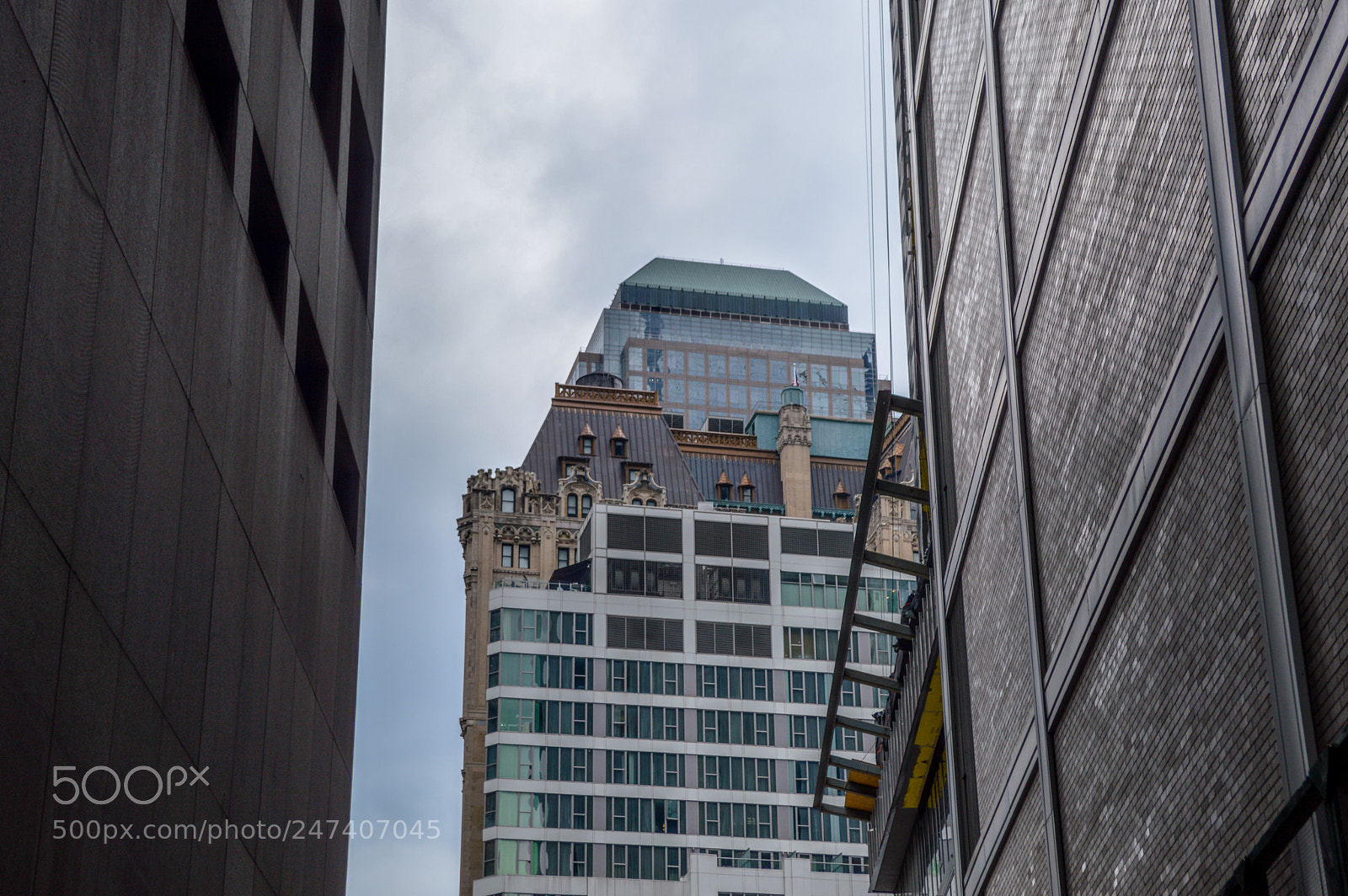 Nikon D3200 sample photo. 31960407700.jpg photography