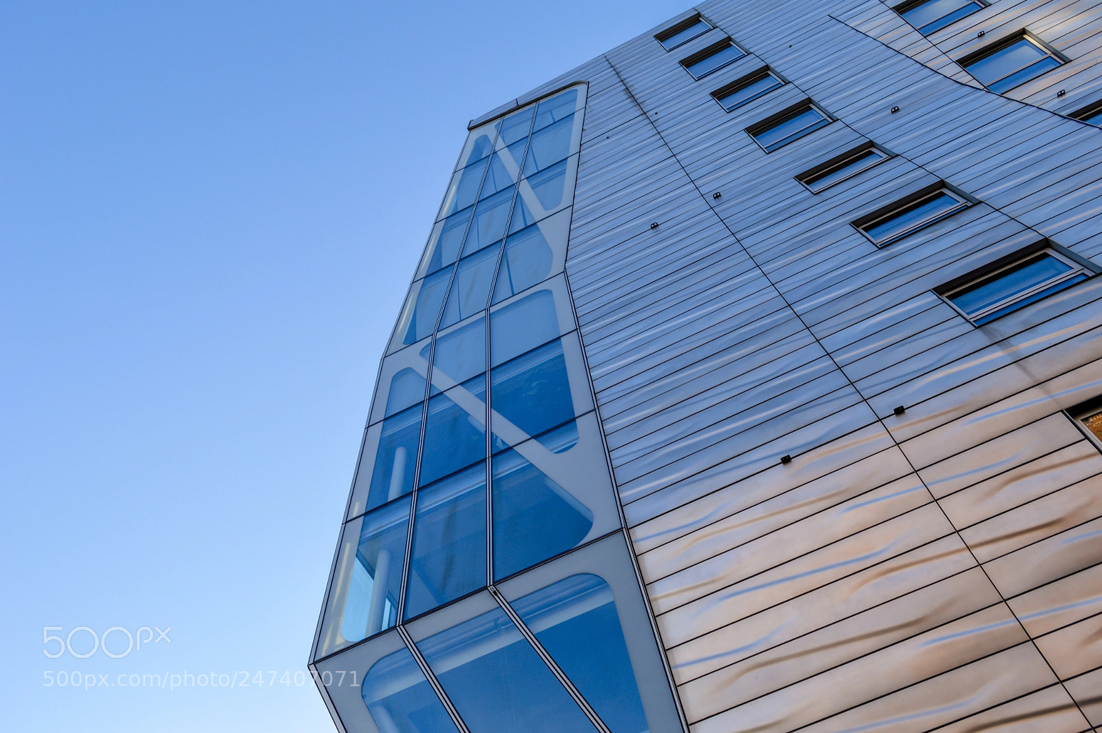 Nikon D3200 sample photo. 31960399980.jpg photography