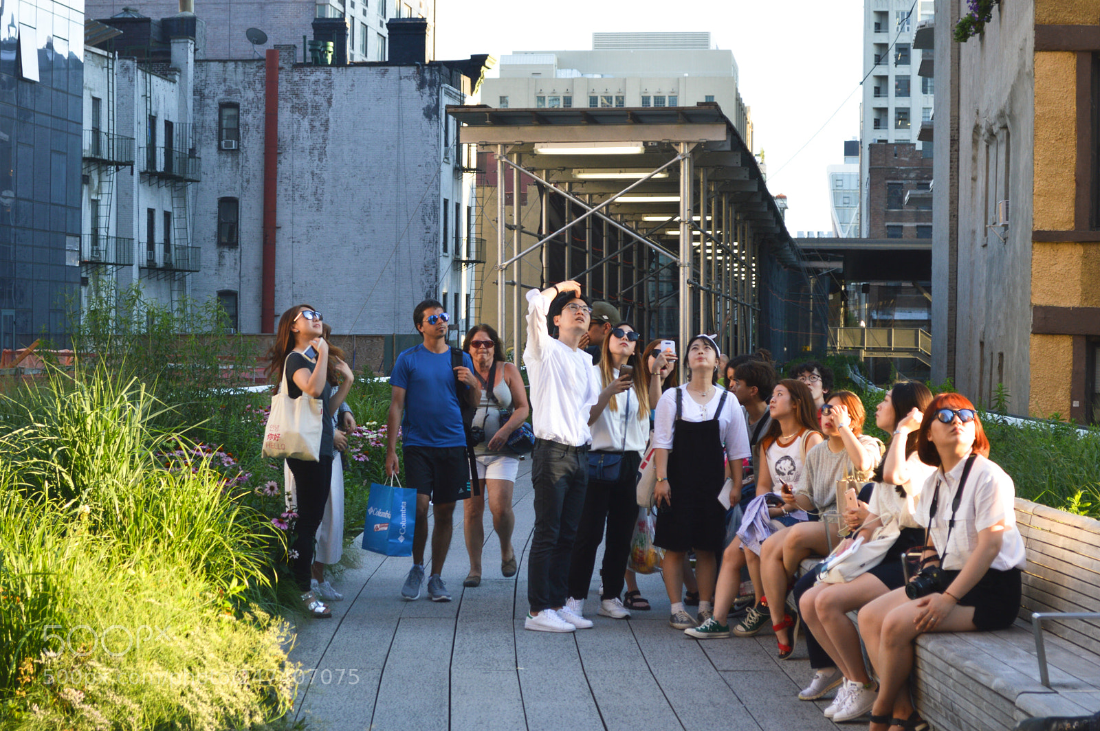 Nikon D3200 sample photo. 31493809024.jpg photography