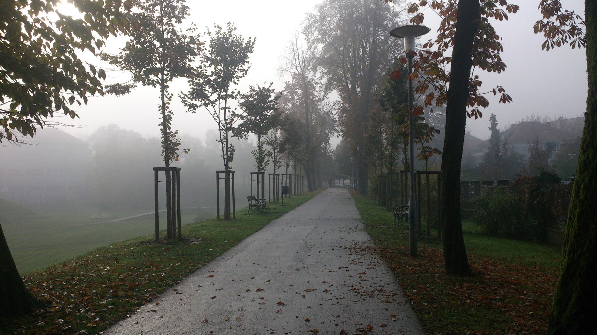 Sony Xperia T sample photo