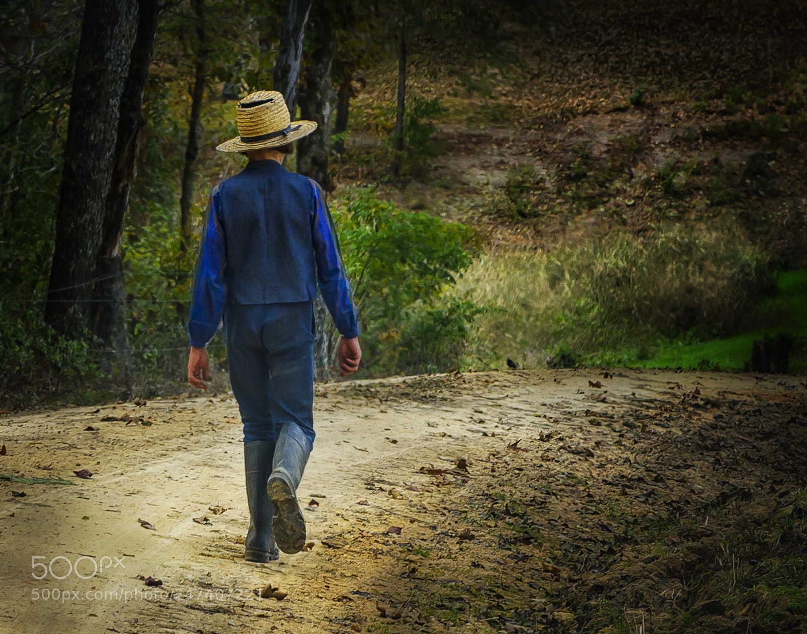 Nikon D3S sample photo. Walking home photography