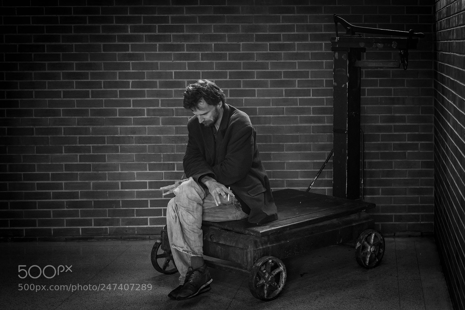 Nikon D500 sample photo. Con·tem·pla·tion photography
