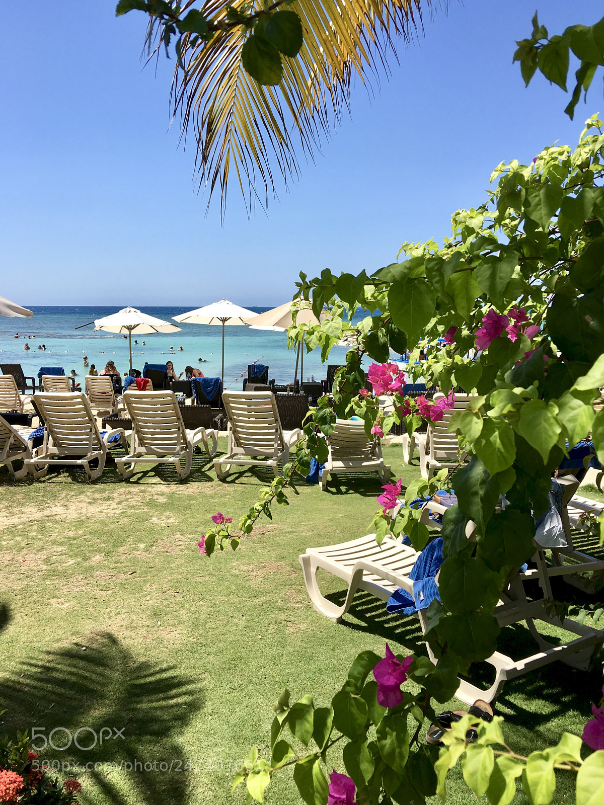 Apple iPhone 6s Plus sample photo. Montego bay, jamaica photography