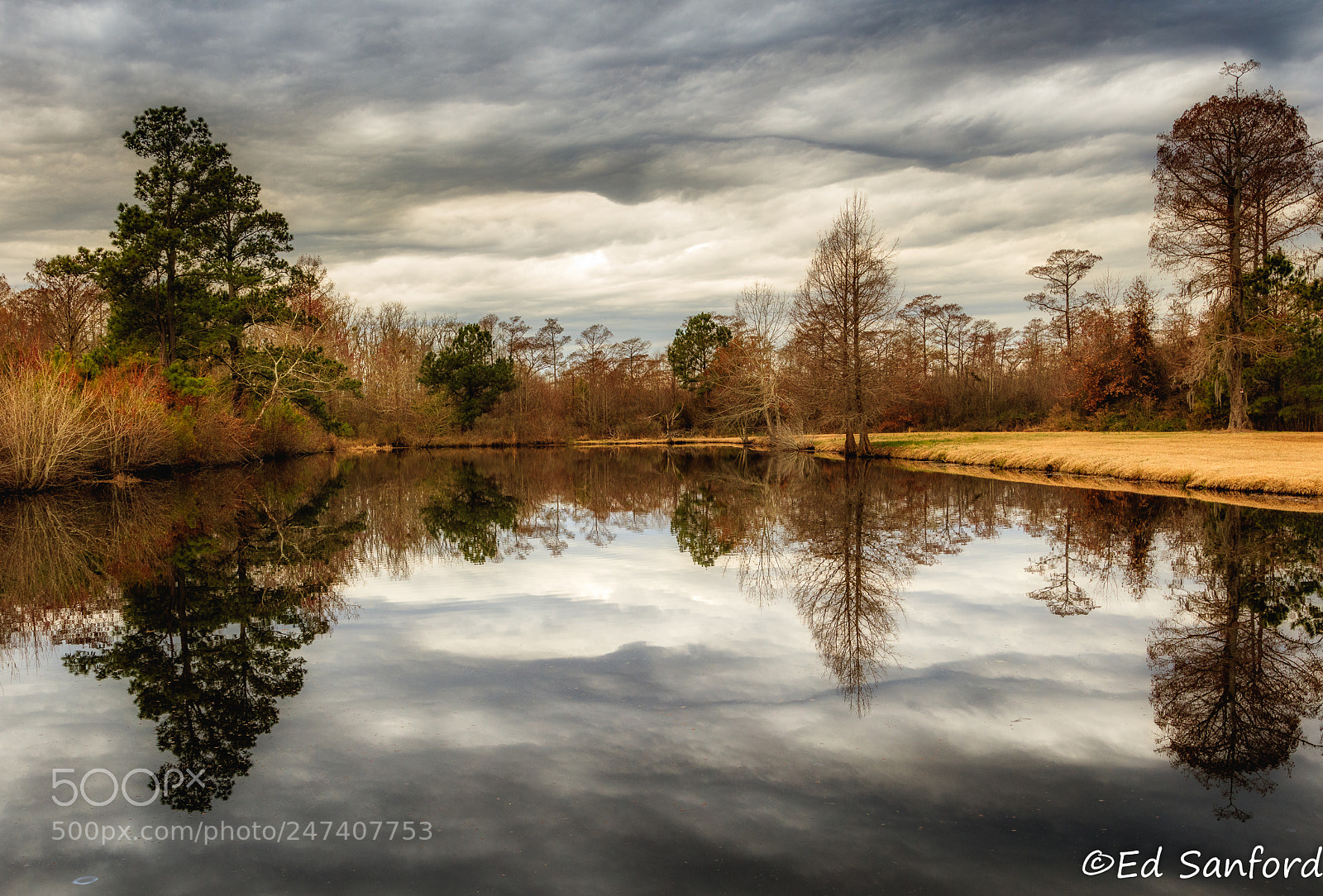 Canon EOS 5DS R sample photo. Marina pond chowan nc photography