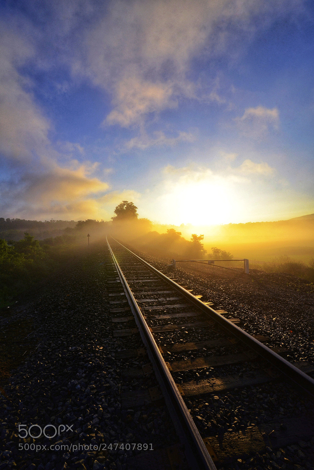Nikon D800 sample photo. Sunrise on the tracks photography