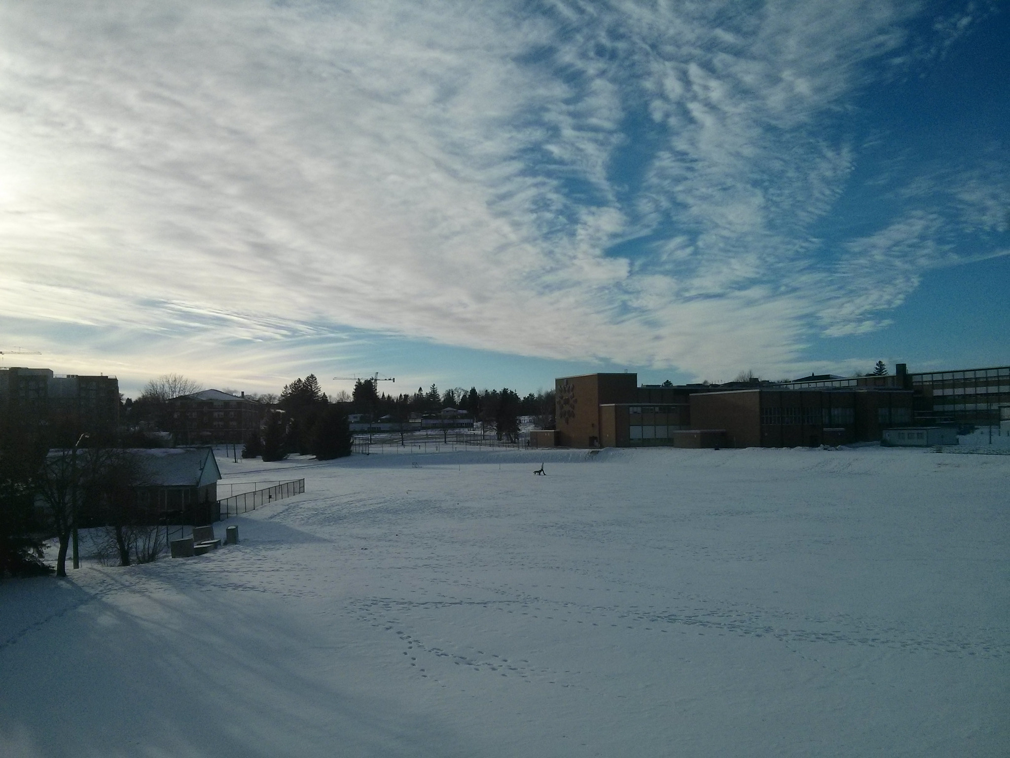 LG Nexus 4 sample photo. 15746503593.jpg photography