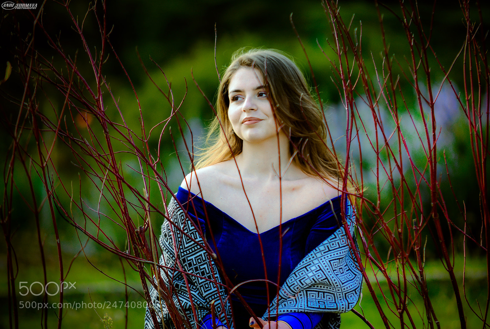 Nikon D7100 sample photo. Untitled photography