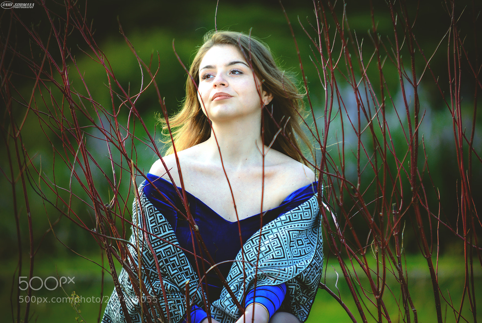 Nikon D7100 sample photo. Untitled photography