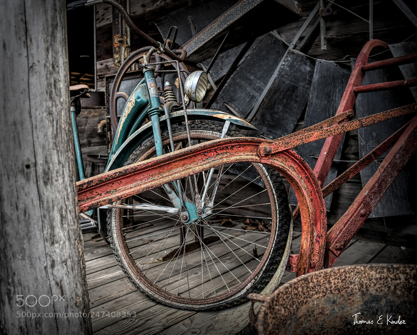 Nikon D7500 sample photo. Hiding photography
