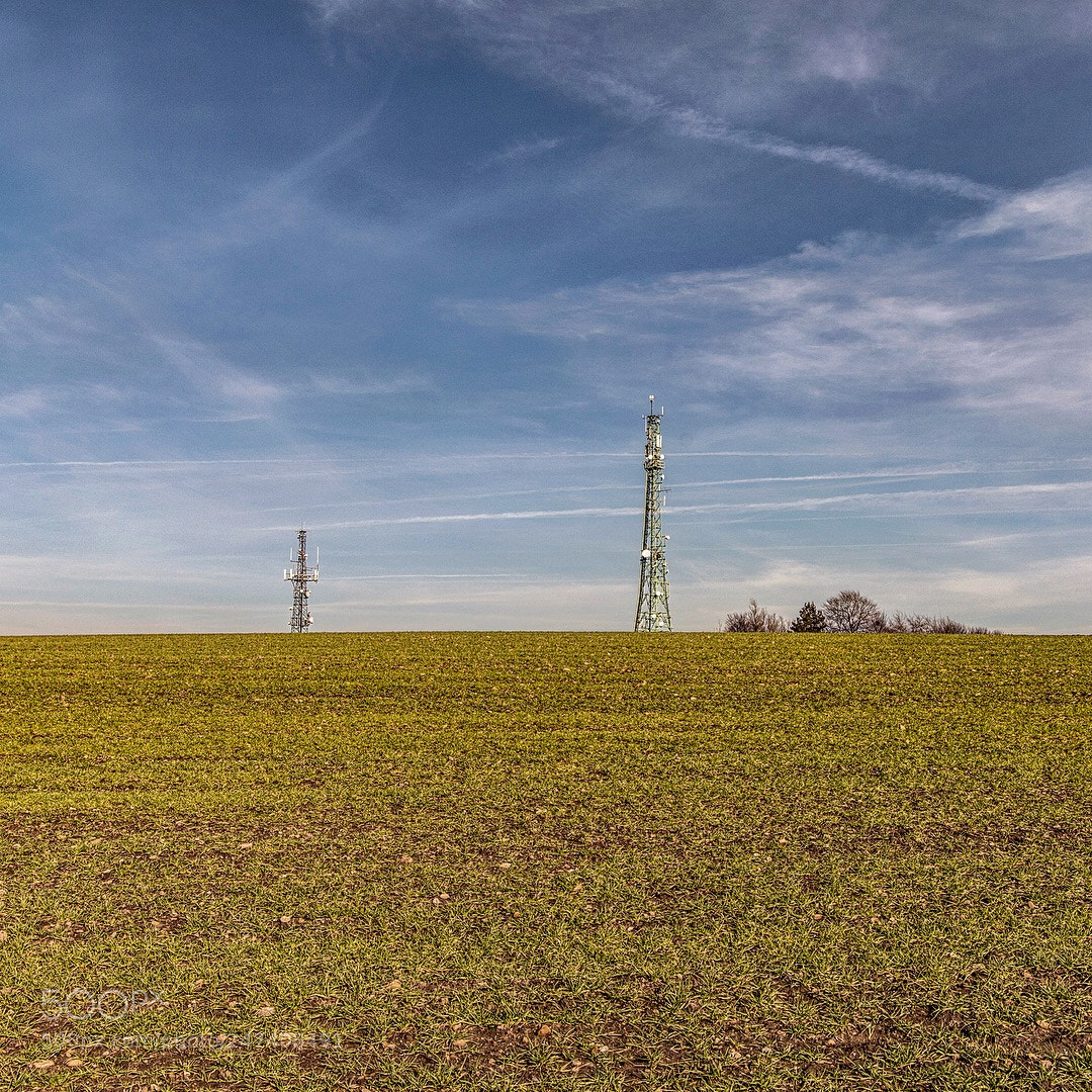 Canon EOS 6D Mark II sample photo. Winter wheat photography