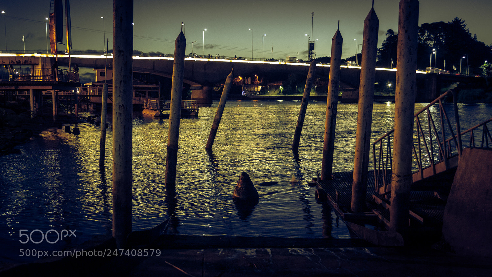 Canon EOS-1D Mark III sample photo. Río calle-calle photography