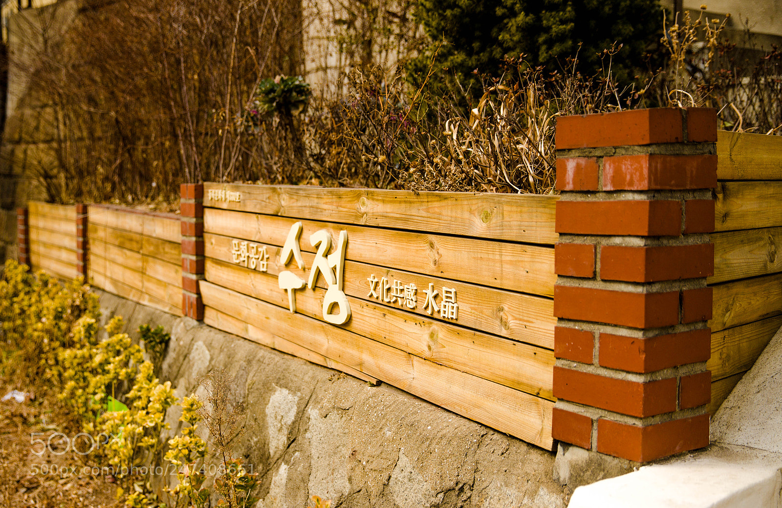 Canon EOS 6D Mark II sample photo. Busan photography
